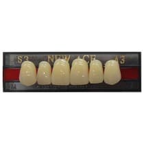 Dente New Ace Anterior/Superior - Kota