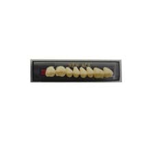 Dente New Ace Posterior/Superior - Kota