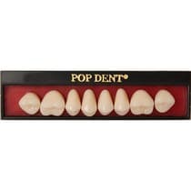 Dente Popdent Posterior Superior - Vipi