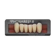 Dente SR Phonares II Anterior Superior - Ivoclar