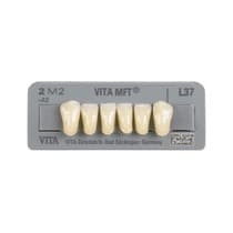 Dente Vita MFT Anterior Inferior - Vita