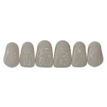 Dente New Ace Anterior Superior B1 - Kota