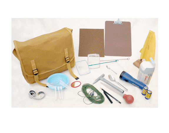 Kit Combate A Dengue Zica E Chikungunya - Portal do Médico
