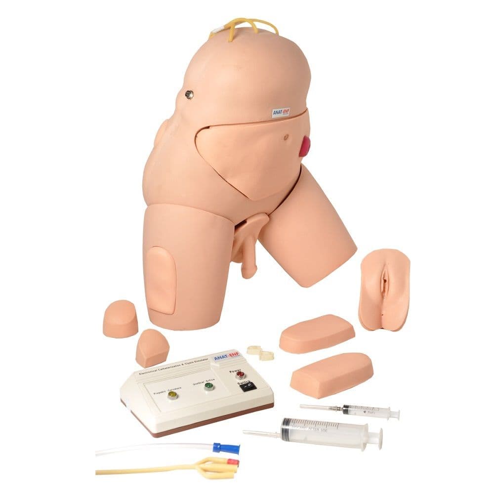 Simulador para treino de Cateterismo Bissexual - Portal do Médico