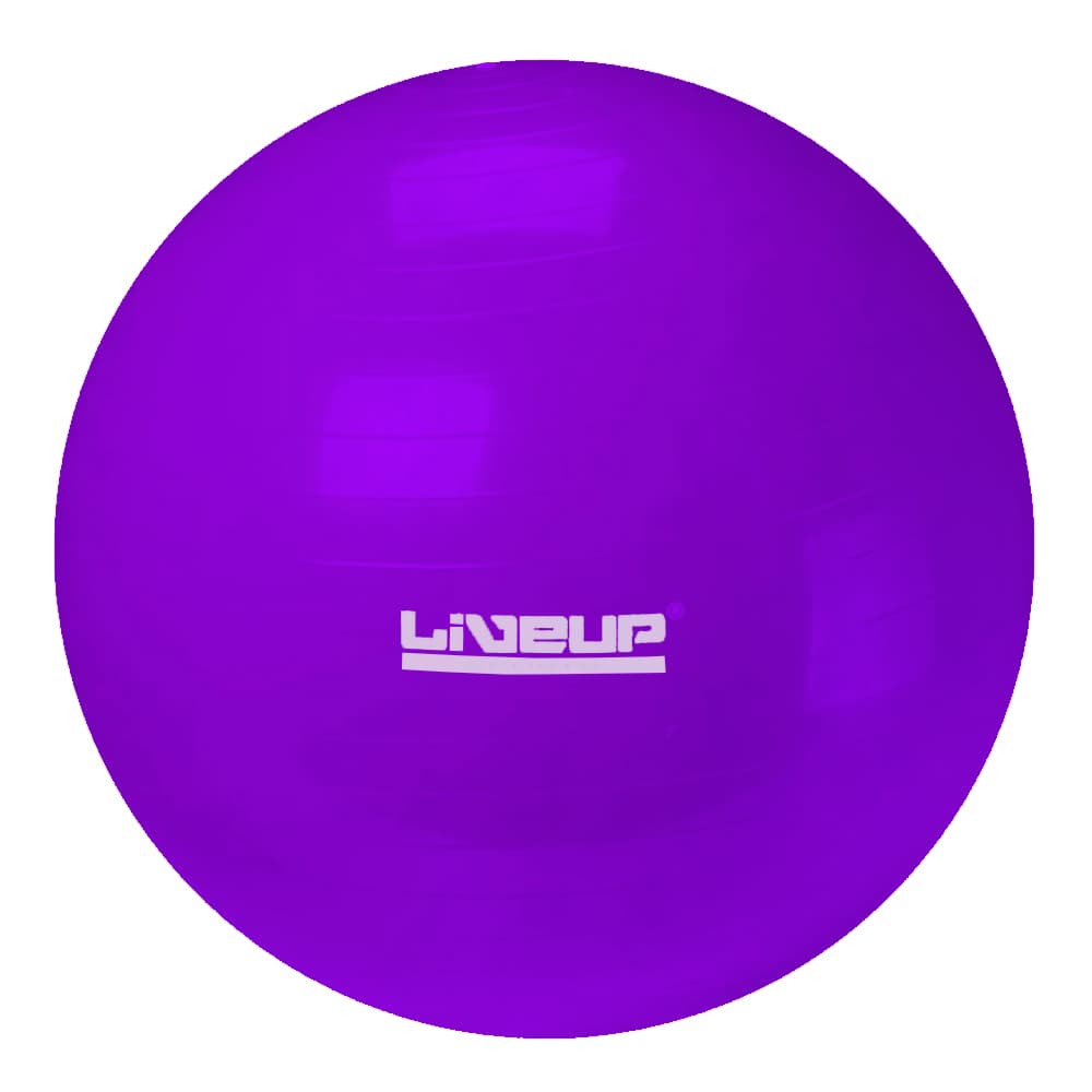Bola Para Exercício Físico Pilates E Fisioterapia Liveup (Roxo/55cm) - Portal do Médico