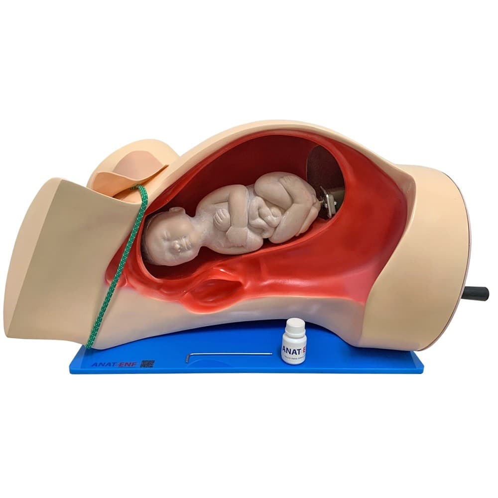 Simulador Médico Parto Clássico - Portal do Médico