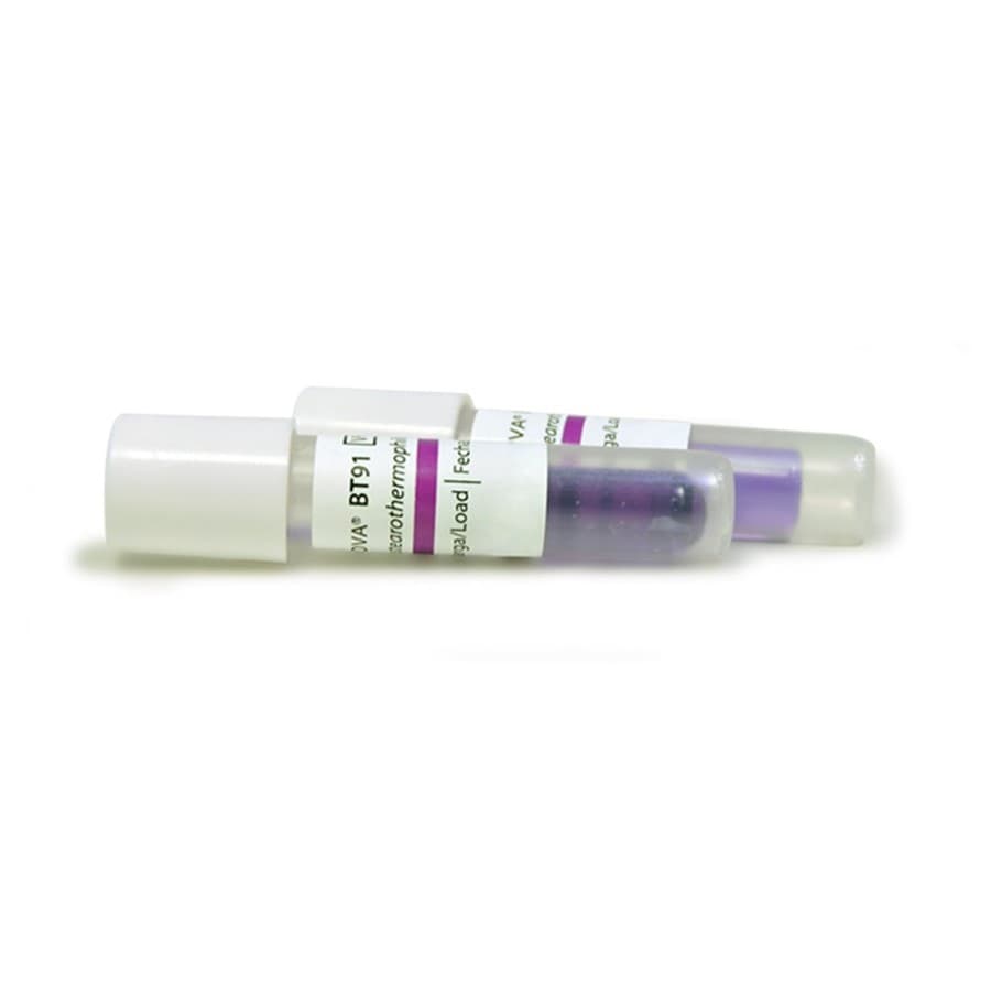 Indicador Biológico para Plasma (24h) Bionova (Cx c/ 100un) | - Portal do Médico