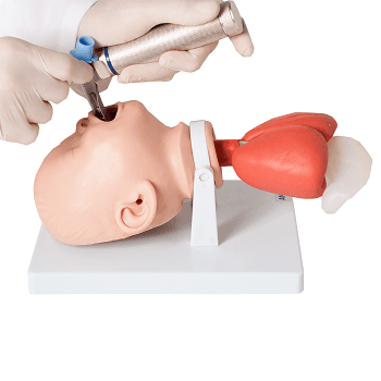 Cabeça de Bebê Intubação Avançado Simulador Médico - Portal do Médico