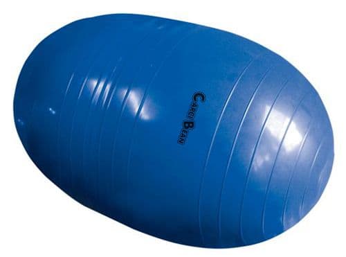 Bola Feijão Carci Bean Ortopedica Carci (70cm(Azul)) - Portal do Médico
