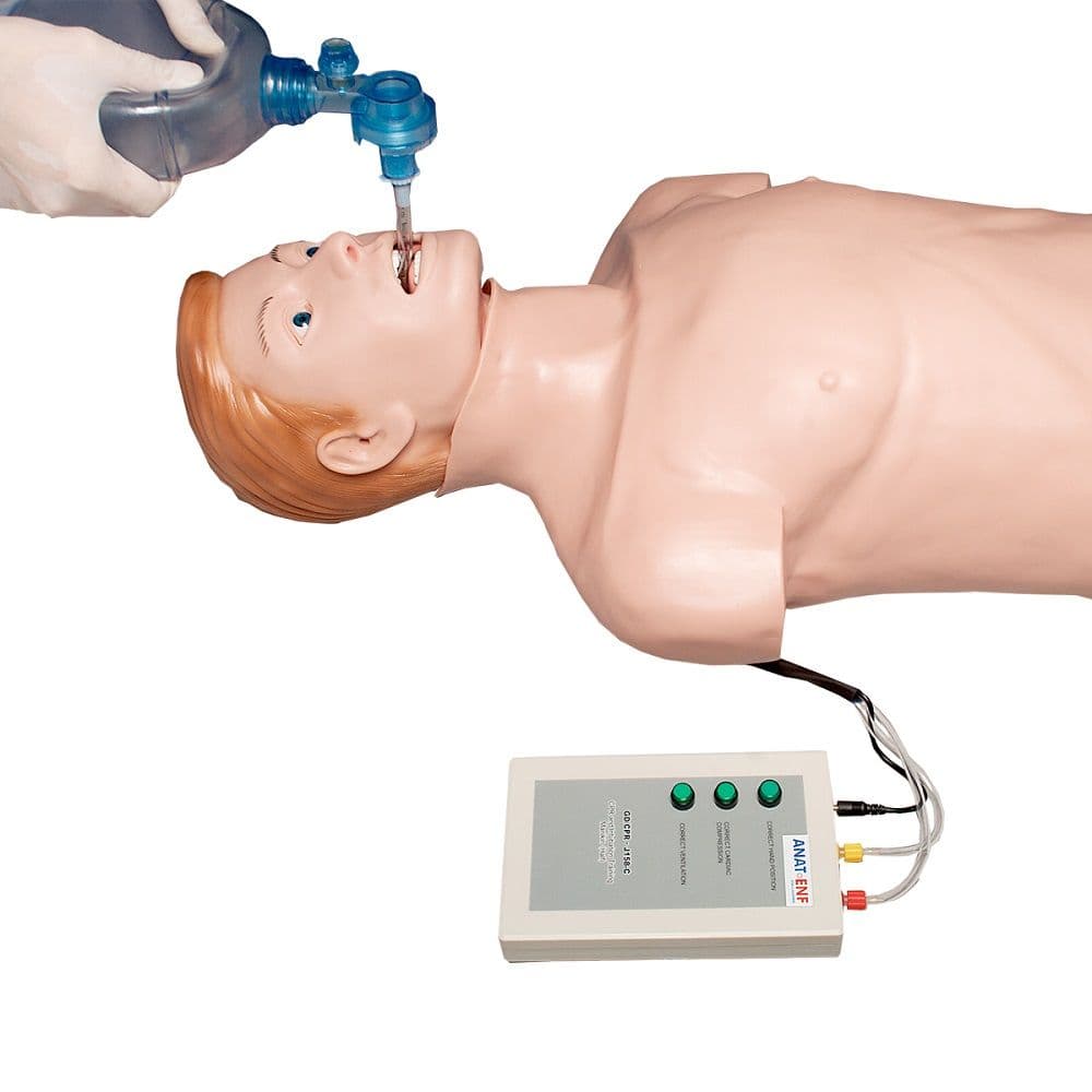 Torso Adulto P/ RCP e Intubação, Simulador Médico - Portal do Médico