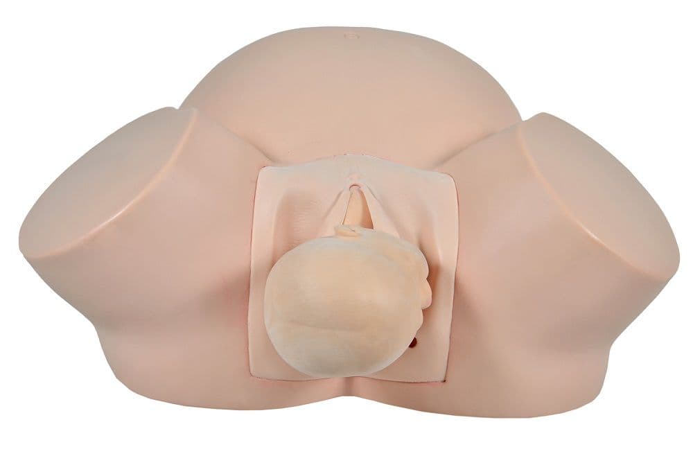 Simulador Médico Parto Básico - Portal do Médico