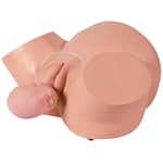 Simulador de Parto Pélvico -Anatomic - Portal do Médico