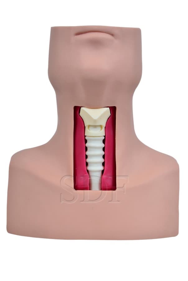 Simulador de Traqueostomia - SDORF Scientific - Portal do Médico