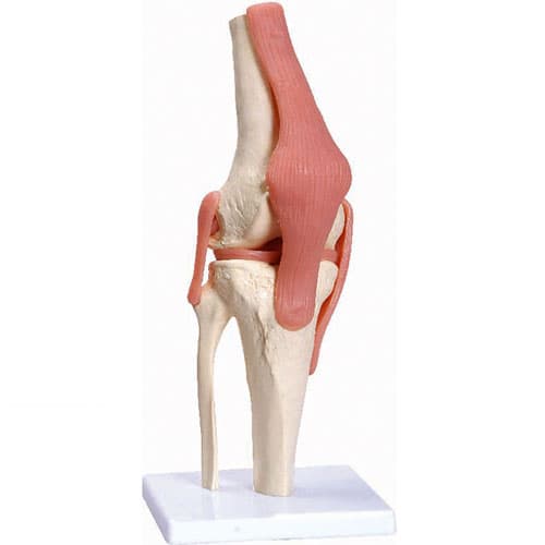 Articulação De Joelho Tgd 0164c Anatomic - Portal do Médico