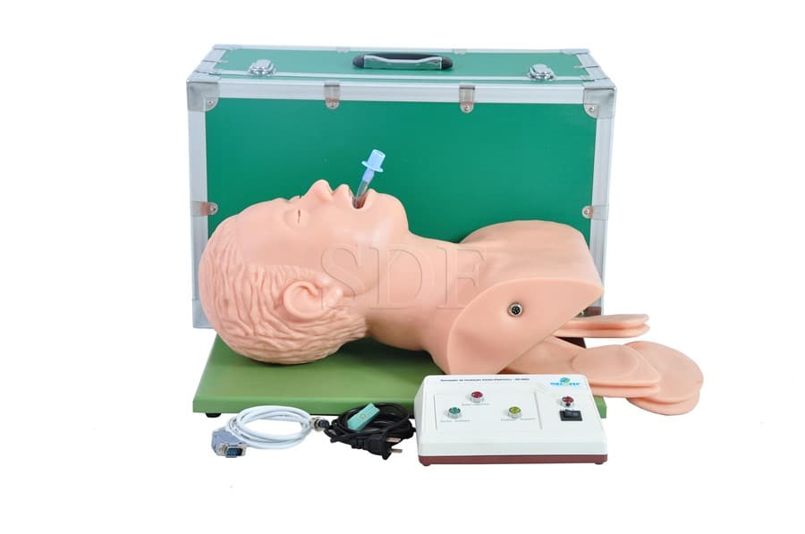 Simulador de Intubação Adulto Eletrônico - SDORF Scientific - Portal do Médico