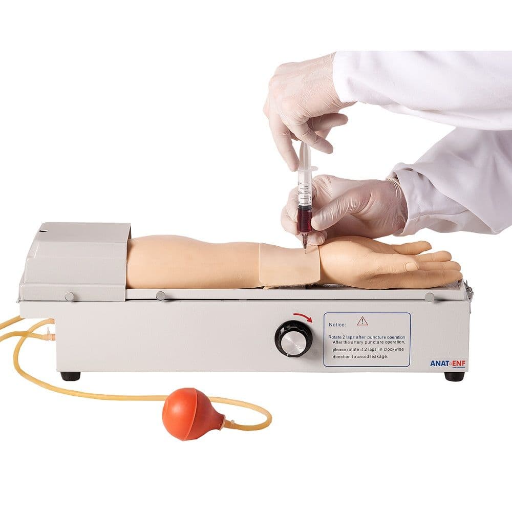 Braço Treino de Punção Rotativo Artéria Radial - Portal do Médico