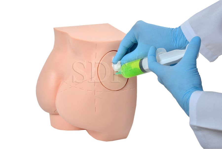 Simulador de Injeção no Glúteo e Sondagem Retal - SDORF Scientific - Portal do Médico