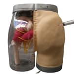 Simulador p/ treino Injeção Intramuscular Glúteo advertência com - Portal do Médico