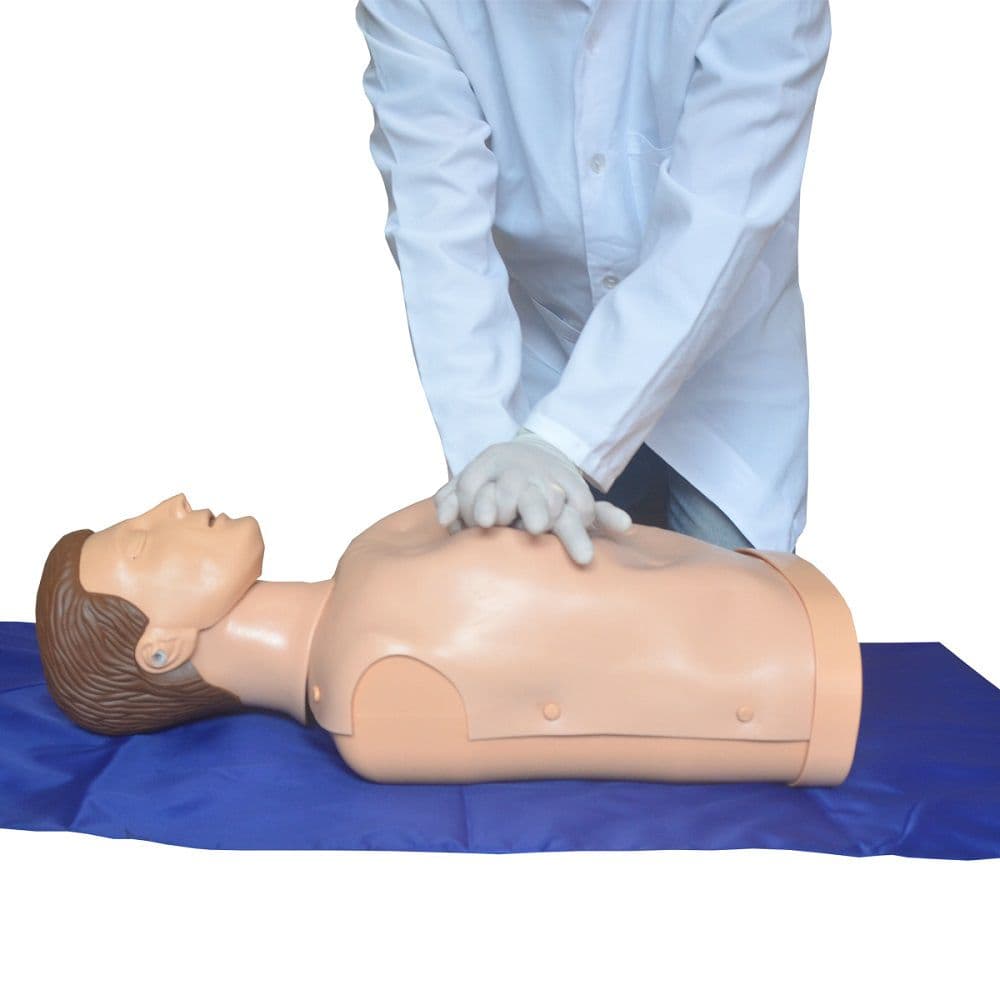 Torso Humano Simples Para Treino RCP Simulador Médico - Portal do Médico