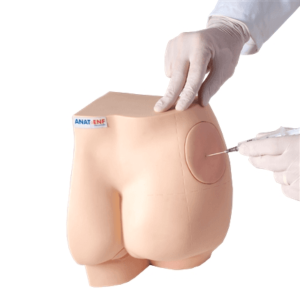 Simulador Médico Sonda Retal e Injeção Intramuscular - Portal do Médico