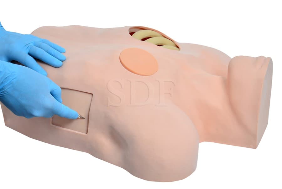 Simulador de Drenagem Torácica - SDORF Scientific - Portal do Médico