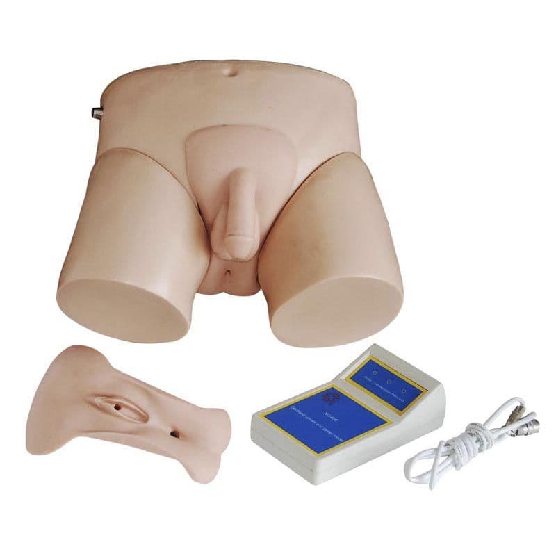 Simulador de Cateterização Bissexual - Portal do Médico